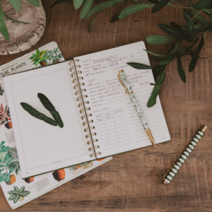 Indoor/Outdoor Plant Journal - Home Decor